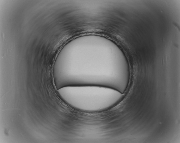 X0000101671257200807101041