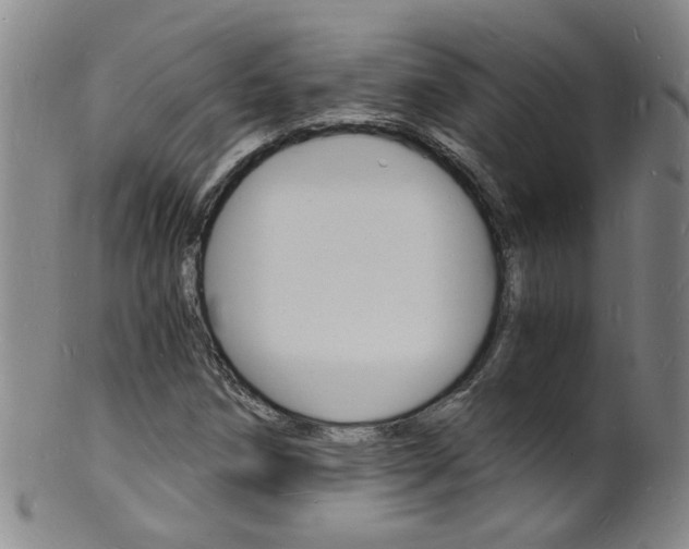 X0000101671258200807101041