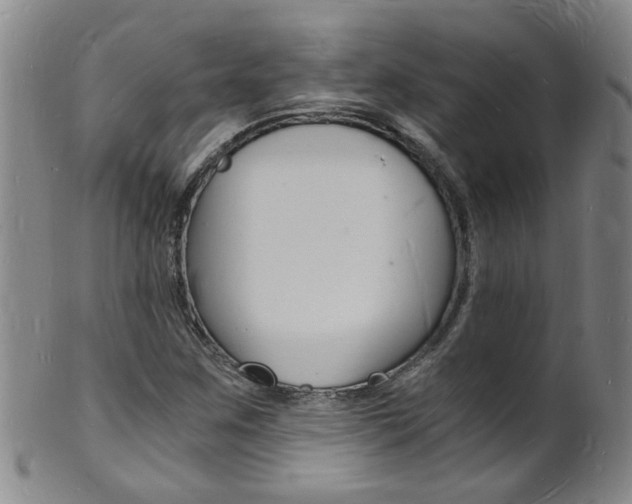 X0000101671259200807101041