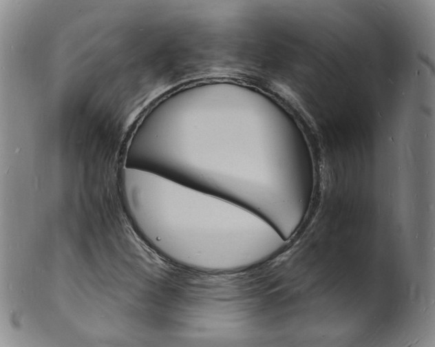 X0000101671260200807101041