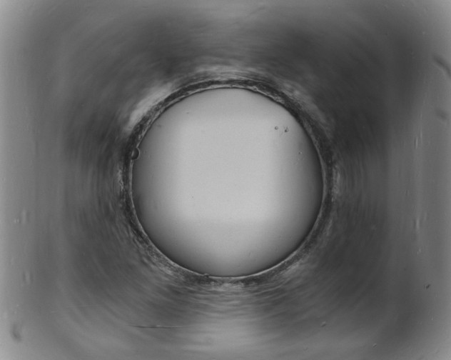 X0000101671261200807101041