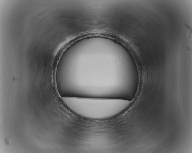 X0000101671262200807101041
