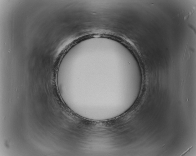 X0000101671263200807101041