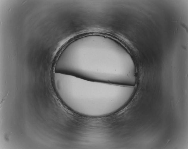 X0000101671264200807101041
