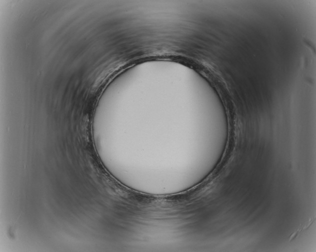 X0000101671265200807101041