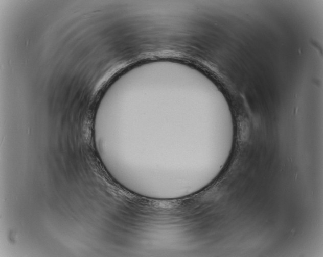 X0000101671266200807101041