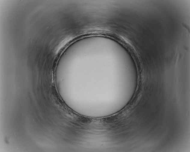 X0000101671267200807101041