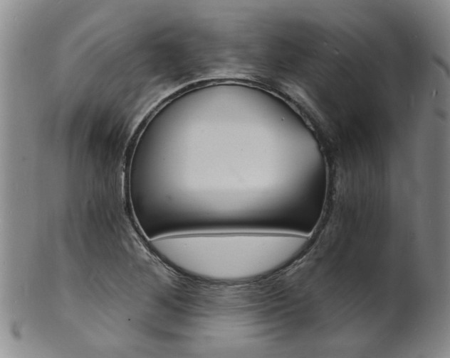 X0000101671268200807101041