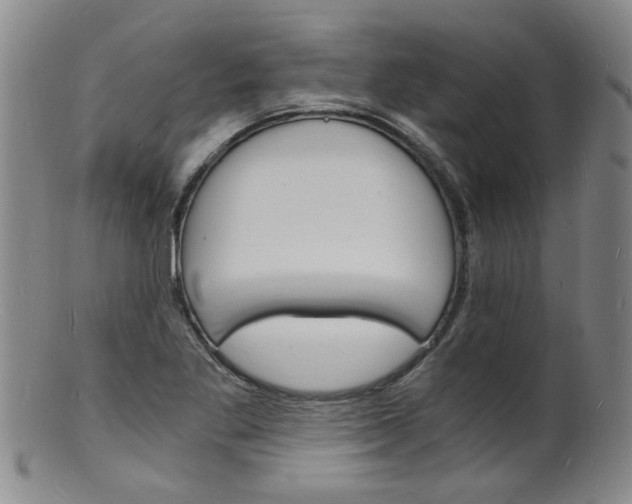 X0000101671269200807101041