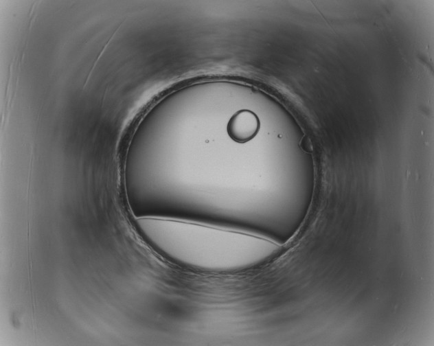 X0000101671270200807101041