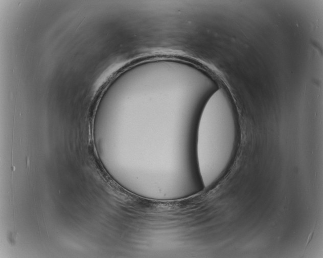 X0000101671271200807101041
