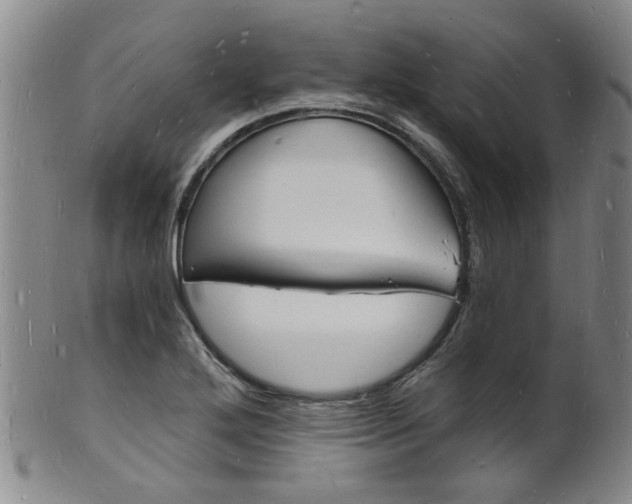 X0000101671272200807101041