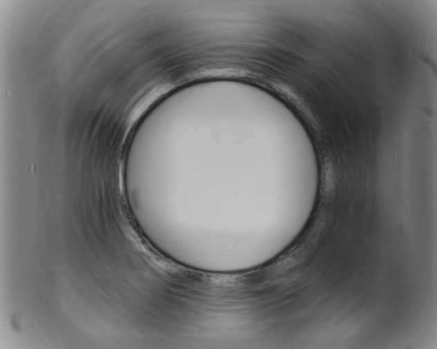 X0000101671274200807101040