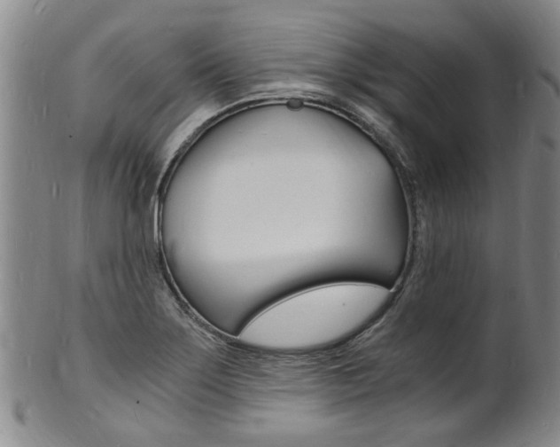 X0000101671275200807101040