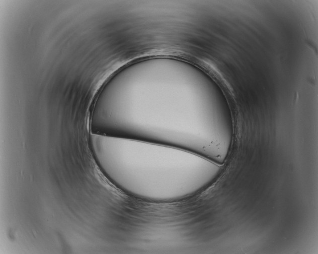 X0000101671276200807101040