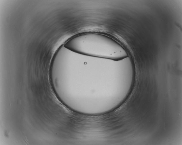X0000101671277200807101040