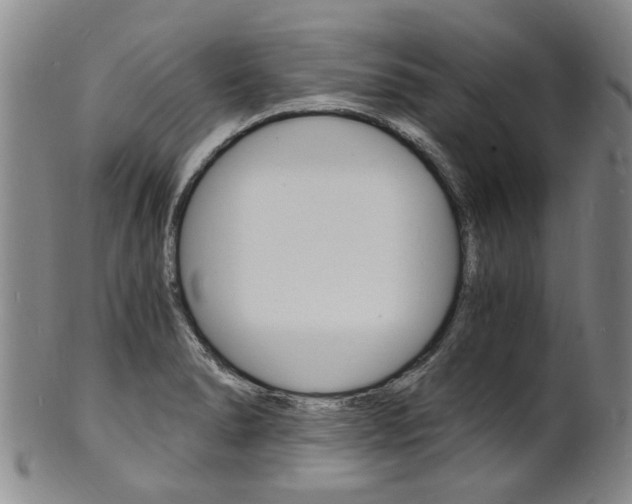 X0000101671278200807101040