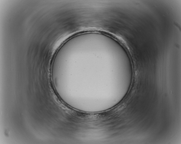 X0000101671279200807101040
