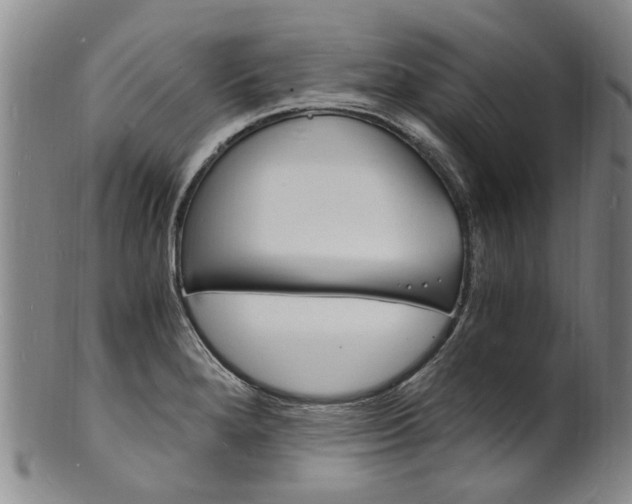 X0000101671280200807101040