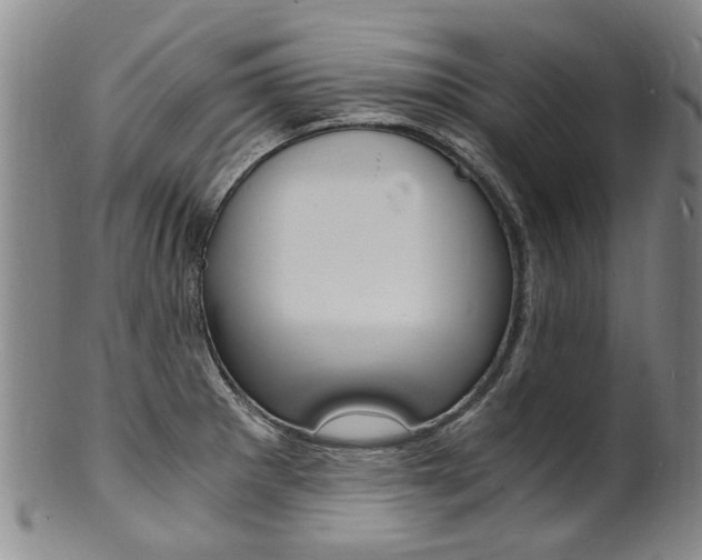 X0000101671281200807101040
