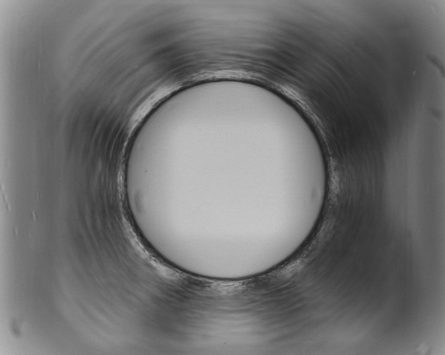 X0000101671282200807101040
