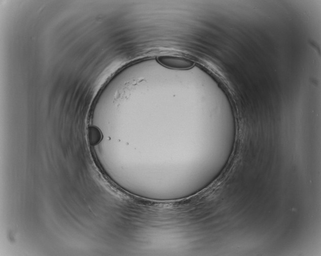 X0000101671283200807101040