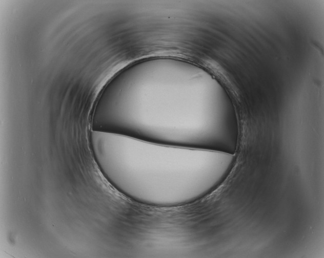X0000101671284200807101040