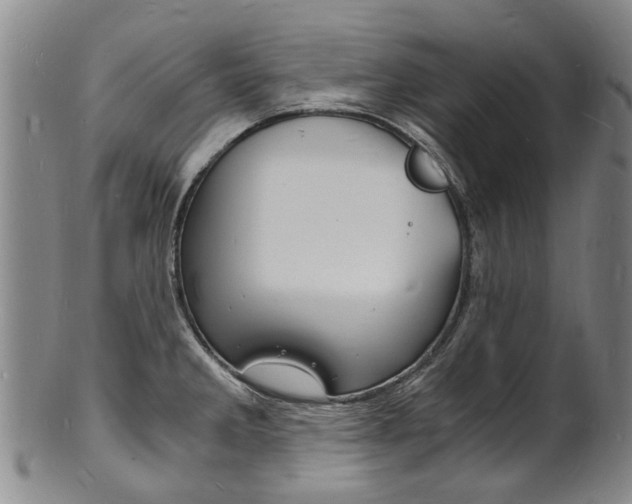X0000101671285200807101040