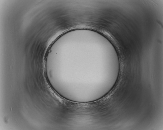 X0000101671286200807101040