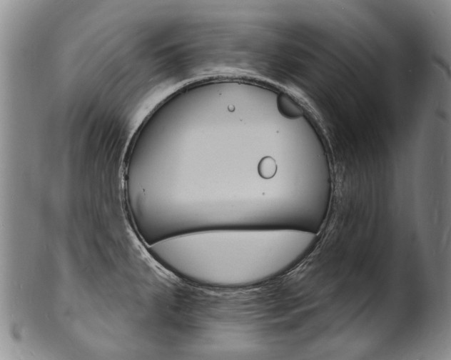 X0000101671287200807101040