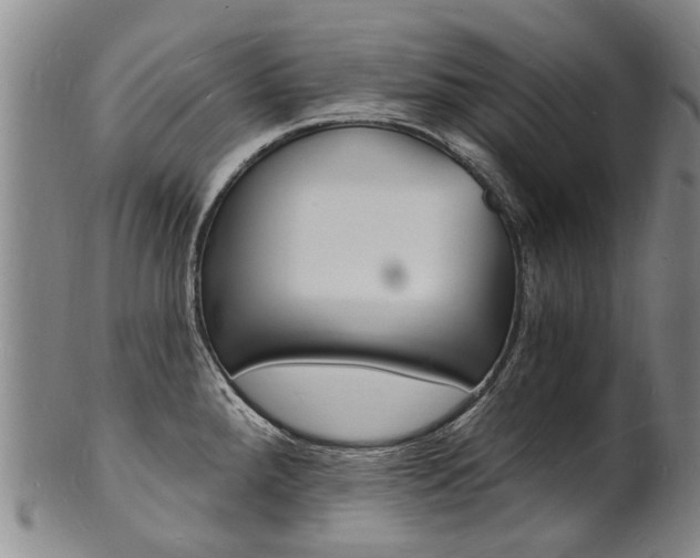 X0000101671288200807101040