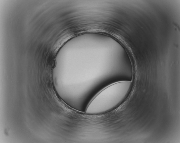 X0000101671289200807101040