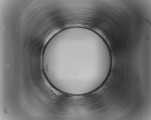 X0000101671290200807101040