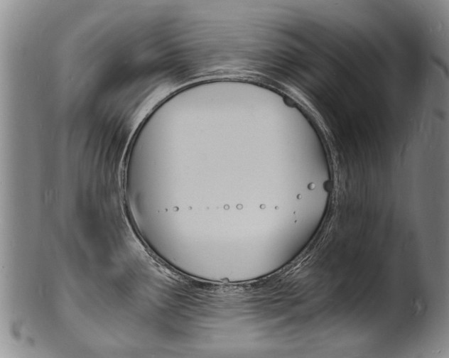 X0000101671291200807101040