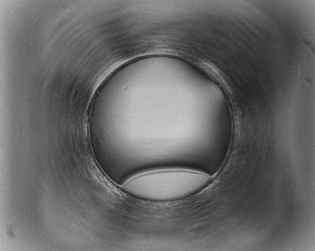 X0000101671292200807101040