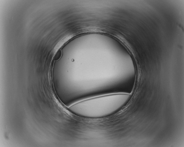 X0000101671293200807101040