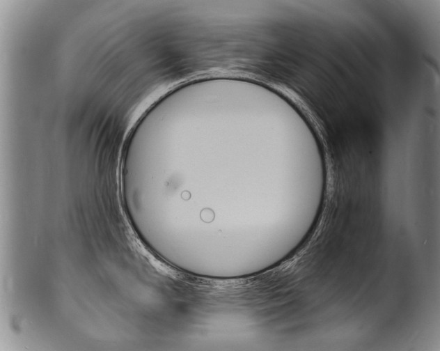 X0000101671294200807101040