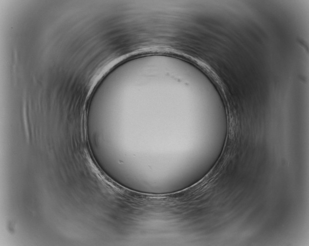 X0000101671295200807101040