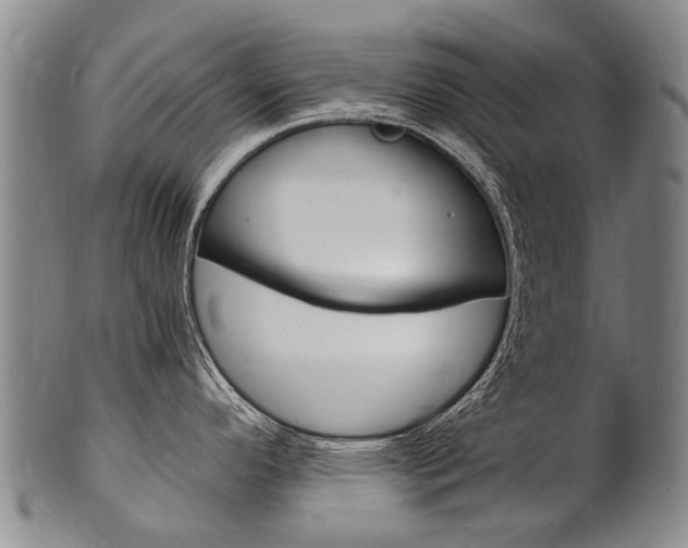 X0000101671296200807101040