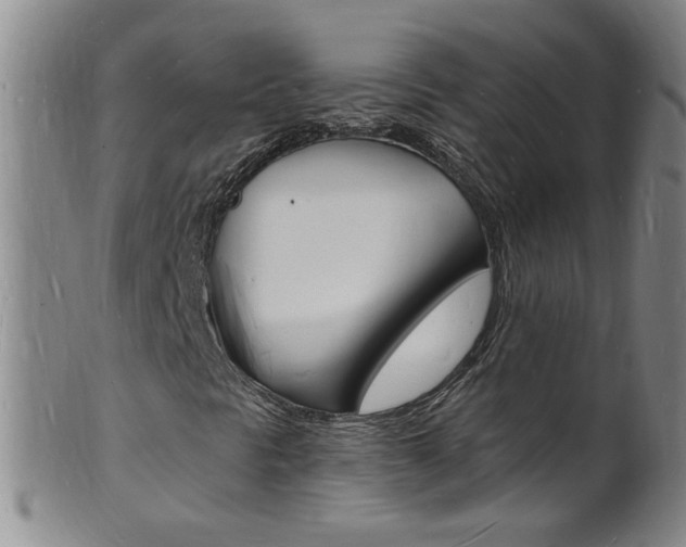 X0000101671297200807101039