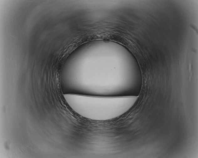 X0000101671298200807101039