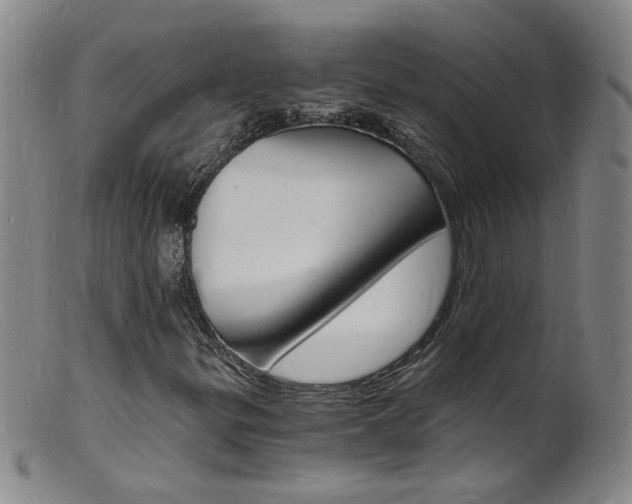 X0000101671299200807101039