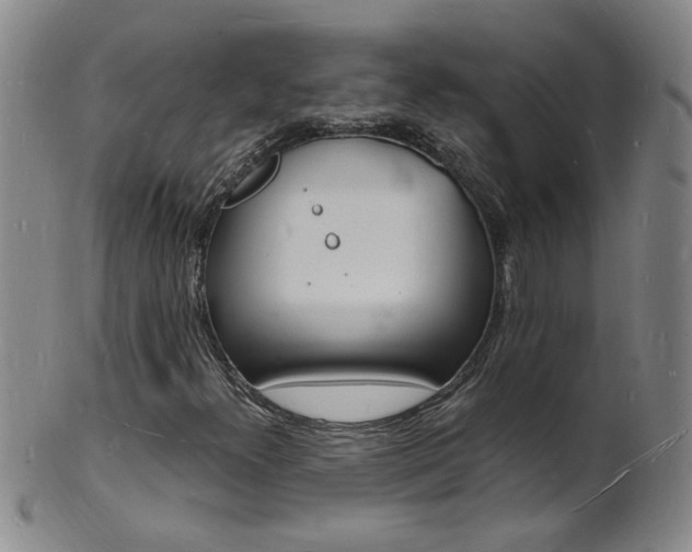 X0000101671300200807101039