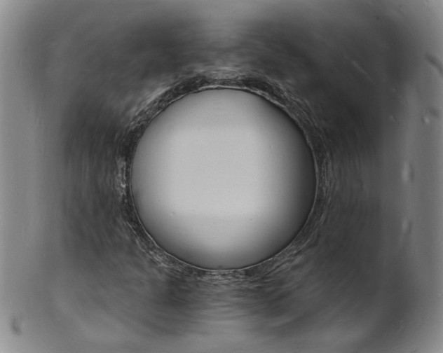 X0000101671301200807101039