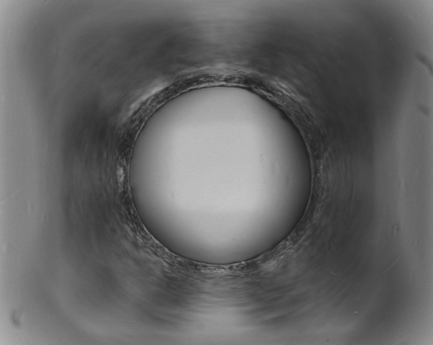 X0000101671302200807101039