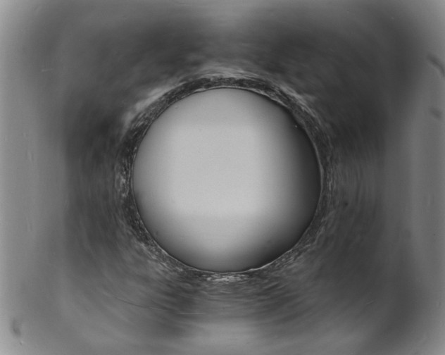 X0000101671303200807101039
