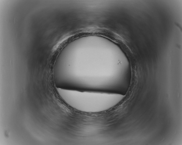 X0000101671304200807101039