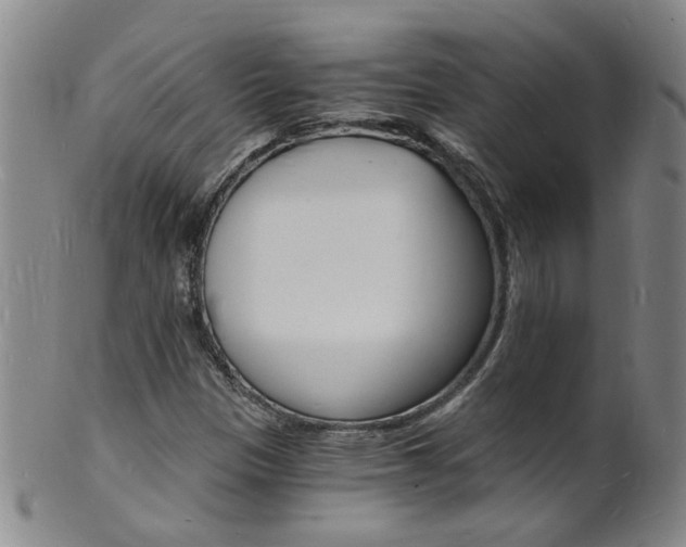 X0000101671305200807101039