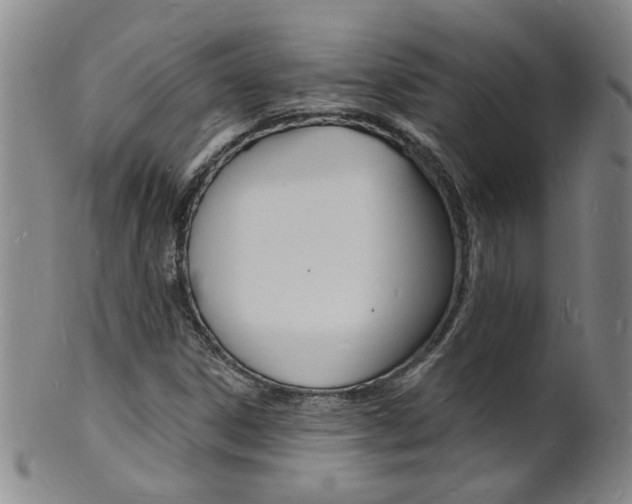 X0000101671306200807101040