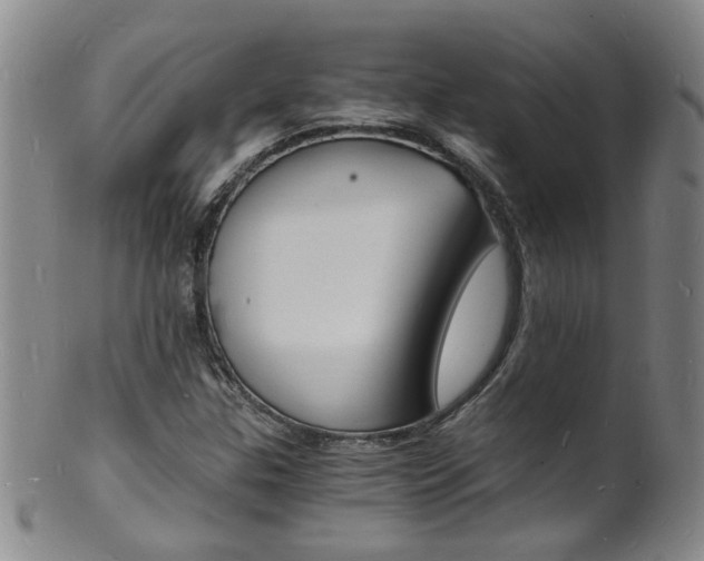 X0000101671307200807101040